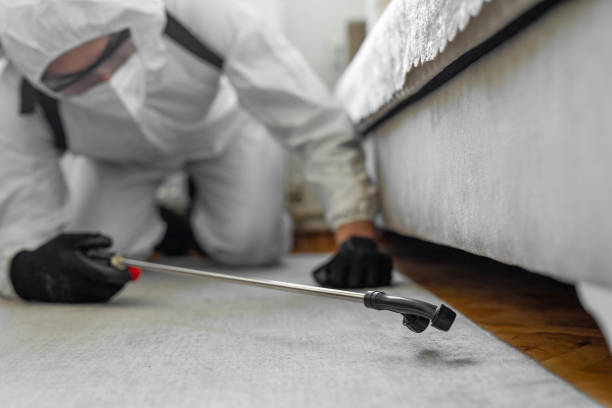 Professional Bed Bug Control technician working in Clearlake, CA