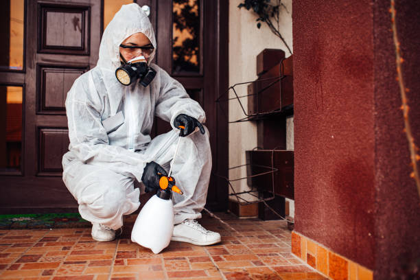 Reliable Bed Bug Control contractor in Clearlake, CA by Nex Pest Control